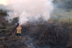 Dipicu Pembakaran Sampah, Lahan Kosong di Kawasan Komersial GKB Gresik Terbakar