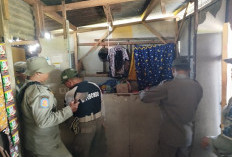 Satpol PP Situbondo Bongkar Warung Remang-Remang di Jalur Pantura