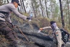 Pemadaman Karhutla Gunung Buthak Blitar Terus Dilakukan, Helikopter Dikerahkan