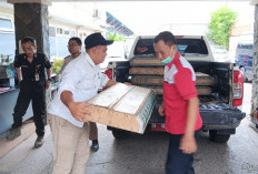 BKSDA Jatim Lepasliarkan Burung Hasil Evakuasi di Pelabuhan Tanjung Perak