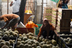 Pedagang Melon di Pasar Gede Solo Rasakan Dampak Ekonomi dari Program MBG