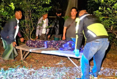 Nenek Ditemukan Tewas dengan Luka Tusukan di Kebun Jeruk Winongan Pasuruan