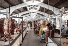 Gejolak Relokasi Tak Goyang Stok Daging, Harga di Pasar Arimbi Surabaya Stabil