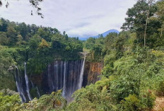 Tips Aman Liburan ke Air Terjun yang Lagi Hype di Indonesia 2026