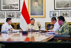 138 Tersangka Karhutla, Presiden Prabowo Minta Segera Laporan Nama Korporasi yang Terlibat