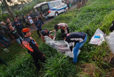 Polisi Selidiki Identitas Mr X, Korban Temperan Kereta Api Brawijaya di Rel Rejotangan 