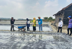 Target Garam Lamongan 20 Ribu Ton, Produksi Agustus Baru 1.317,18 Ton