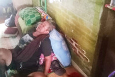 Kasus DBD di Kelurahan Kartoharjo Nganjuk Terus Meningkat