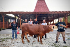 Wakil Ketua Komisi VIII DPR RI Abidin Fikri Serahkan Tiga Sapi Kurban untuk Bojonegoro dan Tuban