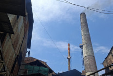 Optimalkan Wet Dust Collector, Polusi Debu Tolato PG Panji Situbondo Berkurang