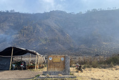 Kebakaran di Kawasan Gunung Bromo Meluas, Tiga Jalur Wisata Ditutup Sementara