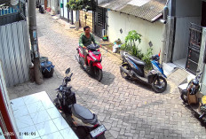 Viral Aksi Curanmor di Tambak Wedi, Pelaku dan Korban Ternyata Tetangga Dekat