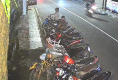 Motor Pelanggan Warkop di Gresik Kota Digondol Maling, Pelaku Beraksi dalam Hitungan Detik