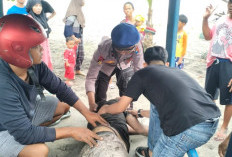 Ombak Besar Pantai Sine Tulungagung Telan Satu Korban, Tim Gabungan Lakukan Pencarian