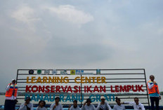 Ikan Lempuk Kembali Berlimpah, PLN Indonesia Power UBP Grati Perkuat Ekonomi Nelayan Ranu Grati