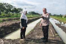 Dukung Ketahanan Pangan, Polsek Krian Polresta Sidoarjo Pantau Lahan Jagung Ponpes Al Amanah Junwangi 