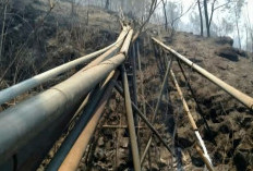 Karhutla Arjuno Melelehkan 5,25 Km Pipa Air, Ribuan Warga Jatiarjo Pasuruan Terancam Krisis Air