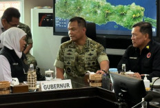 Karhutla Jatim Meluas hingga 11.449 Hektare, BNPB Tambah Water Bombing dan OMC