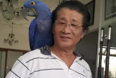 Singky Soewadji Ungkap Sejumlah Dugaan Masalah Lama di KBS, Siap Buka Data ke Penegak Hukum