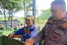 Sat Binmas Polres Ngawi Belajar Pengolahan Jagung di Desa Guyung Gerih