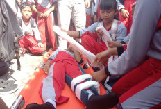 Gandeng Jepang, PMI Jember Integrasikan Edukasi Kebencanaan ke Dalam Kurikulum Sekolah