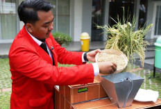 Solusi Petani Saat Musim Hujan, Mahasiswa Untag Surabaya Bikin Inovasi Alat Pengering Gabah Otomatis