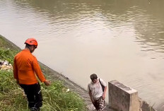 BPBD Surabaya Pantau Sungai Jagir Usai Laporan Kemunculan Buaya