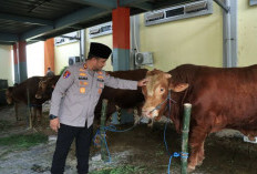 Polres Gresik Salurkan Hewan Kurban Iduladha 2026, Wujud Kepedulian Sosial 