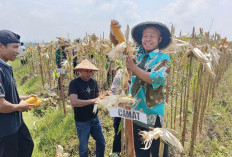 Polres Blitar Raih Penghargaan Presiden atas Dukungan Swasembada Pangan