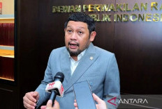 DPR Minta 21 Korporasi Terkait Karhutla Diproses Hukum