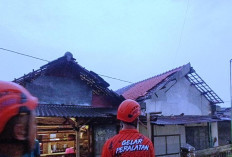 Rumah Rusak Akibat Puting Beliung di Driyorejo Gresik Mencapai 100 Unit