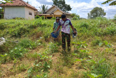 Terong Ungu dan Harapan Masyarakat: Kepedulian Satgas TMMD 127 di Sumenep