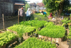Bhabinkamtibmas Polsek Pitu Monitoring Program P2B, Dorong Kemandirian Pangan Keluarga di Ngawi 