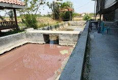 Dapur MBG Lamongan Kosong, IPAL Keruh dan Bau Menyengat Jadi Sorotan