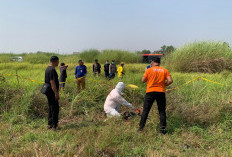 Dilaporkan Hilang 14 Hari, Bapak 2 Anak Ditemukan Tewas Membusuk di Area Sawah Tulangan-Sidoarjo