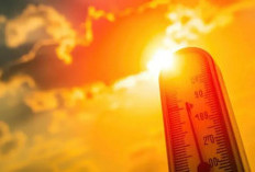 Suhu Surabaya Menyengat! BMKG Sebut Kemarau Dini dan Potensi El Niño Jadi Pemicu Cuaca Ekstrem