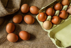Cara Mudah Memilah Telur Segar dan Layak Konsumsi agar Masakan Tetap Sehat