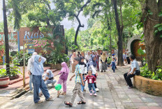 Anggaran Pakan Rp700 Juta Aman, KBS Pastikan Satwa Tetap Sehat