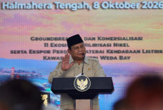 Dua Tahun Pemerintahan Presiden Prabowo, Hilirisasi Melesat dan Investasi Makin Mantap