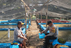 Bhabinkamtibmas Geneng Monitoring Budidaya Lele, Dukung Ketahanan Pangan Warga