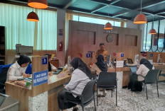 Investasi Jember Tembus Rp2,57 Triliun, DPMPTSP Dorong Hilirisasi Kopi-Tembakau dan Wajibkan Jaminan Kesehatan