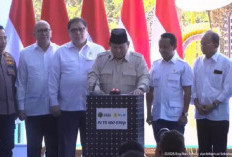 Prabowo Luncurkan Program PLTS 100 GWp di Jembrana, Targetkan Indonesia Mandiri Energi