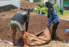 Ubah Limbah Jadi Dolar, Cerita Pupuk Organik Mayang yang Diminati Petani Negeri Sakura