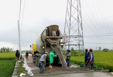 Wajah Cantik Infrastruktur Jalan Membelah Sawah di Baureno-Bojonegoro, Warga Juluki Zamrud Seloistiwa