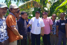 Tanggul Jebol Penyebab Kekeringan 5 Desa Diperbaiki, Anggota DPRD Provinsi Turun Tangan