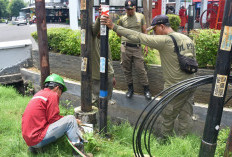 Tak Berizin dan Bikin Semrawut, 18 Tiang Fiber Optik di Jalan Panjang Jiwo Ditertibkan Satpol PP Surabaya