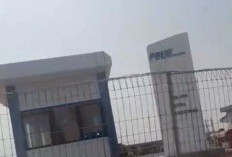 Aktivitas PT PAL di Sidokelar Disorot, Selain Kena Sanksi KKP Juga Belum Kantongi Ijin Lingkungan
