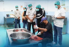 Kapolres Bojonegoro Cek Dapur SPPG, Pastikan Program MBG Berjalan Optimal