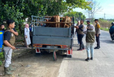 Dinas Peternakan Lamongan Sosialisasikan Alur Pemotongan Hewan Kurban