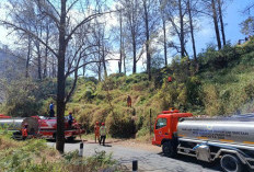 Karhutla Bromo Padam, Tim Gabungan Sisir Bara dan Asap